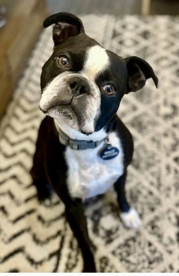 Wally