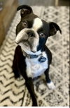 Wally - Photo 1