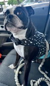 Wally - Photo 2