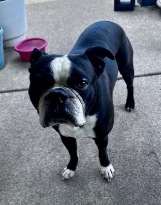 Wally photo 4