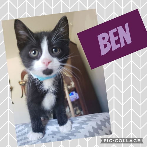 Ben