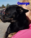 George