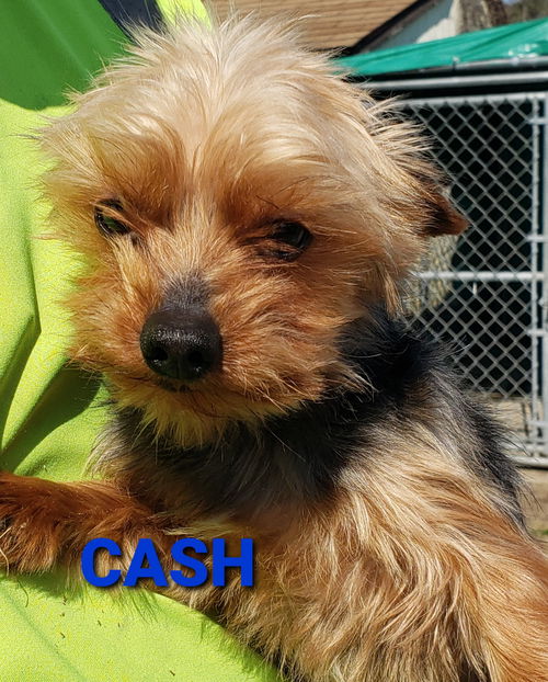 Cash. PENDING ADOPTION