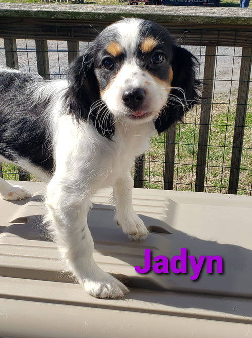 Jadyn. PENDING ADOPTION