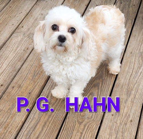 PG Hahn