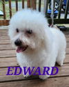 Edward/Del