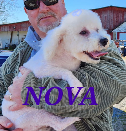 NOVA