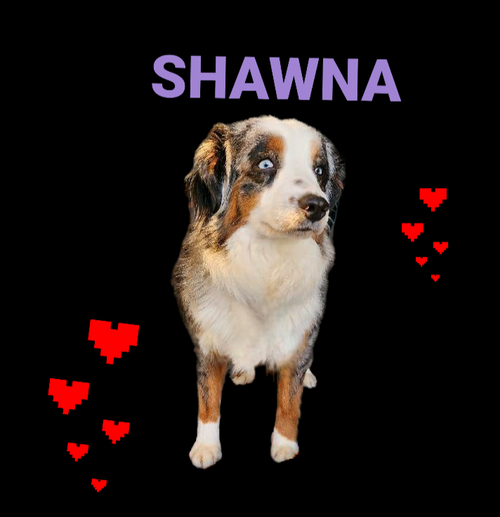 Shawna