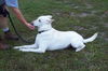 Casper