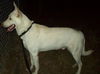 Casper