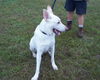 Casper