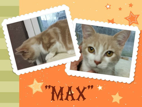 Max