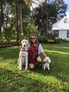 Dixie 1011