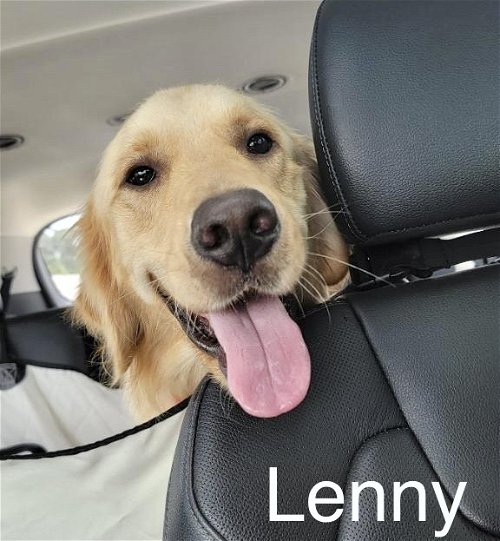 Lenny 1086