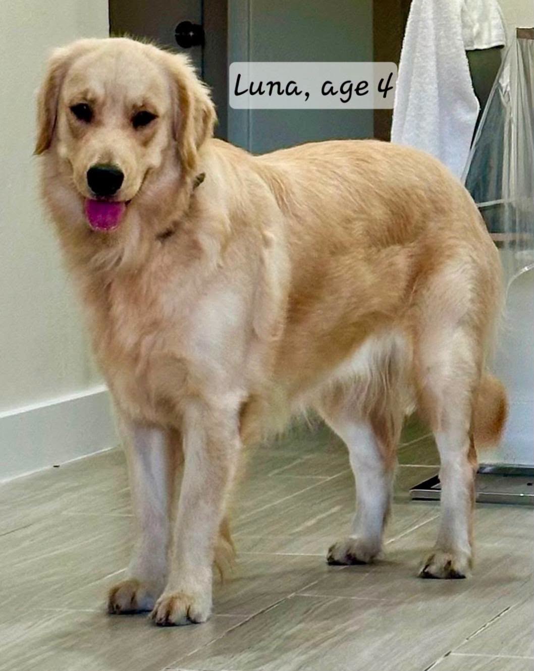 Luna Golden