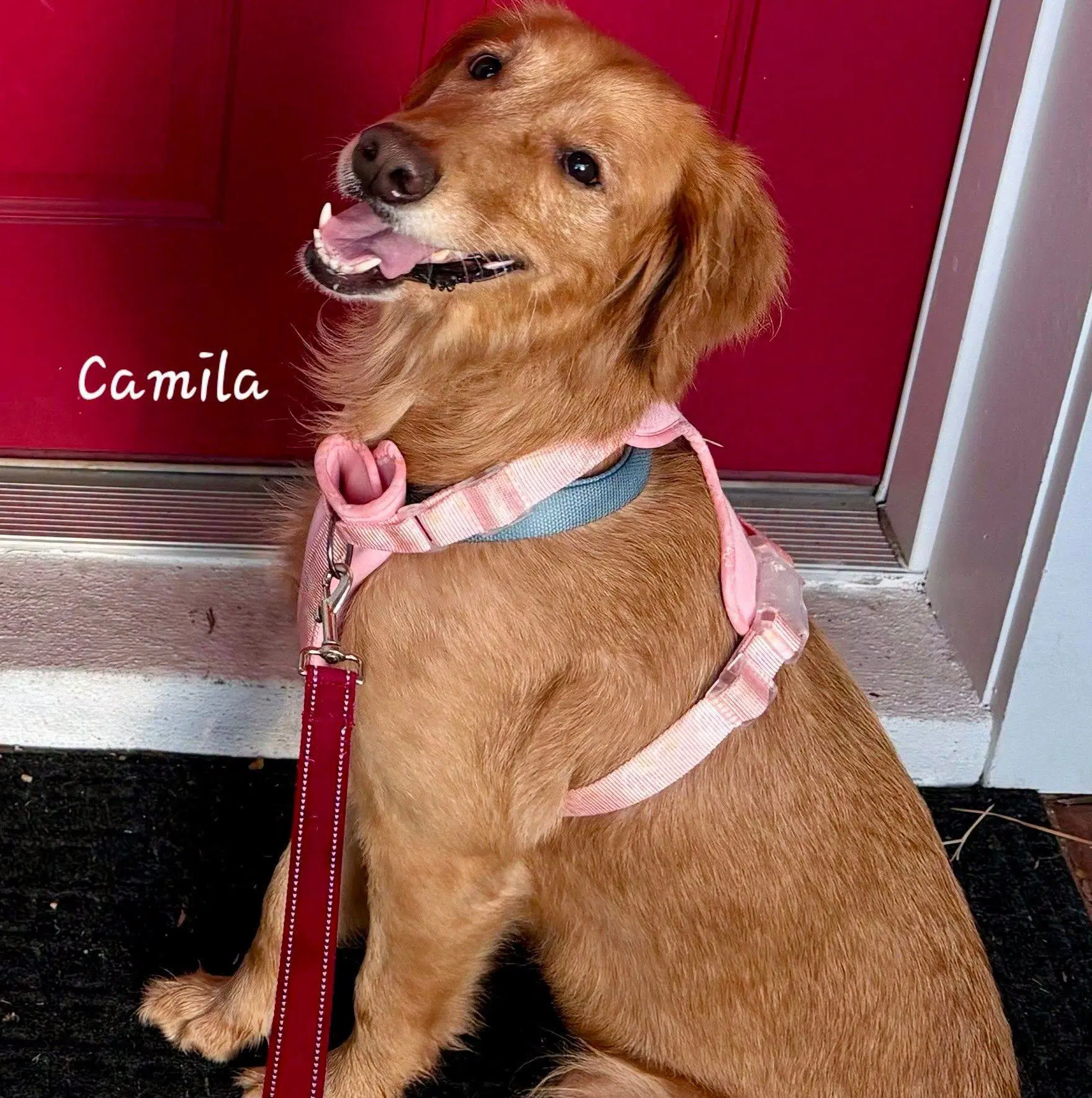 Camila image 2