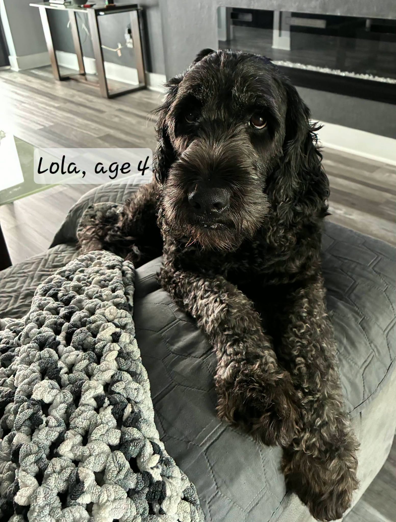 Lola