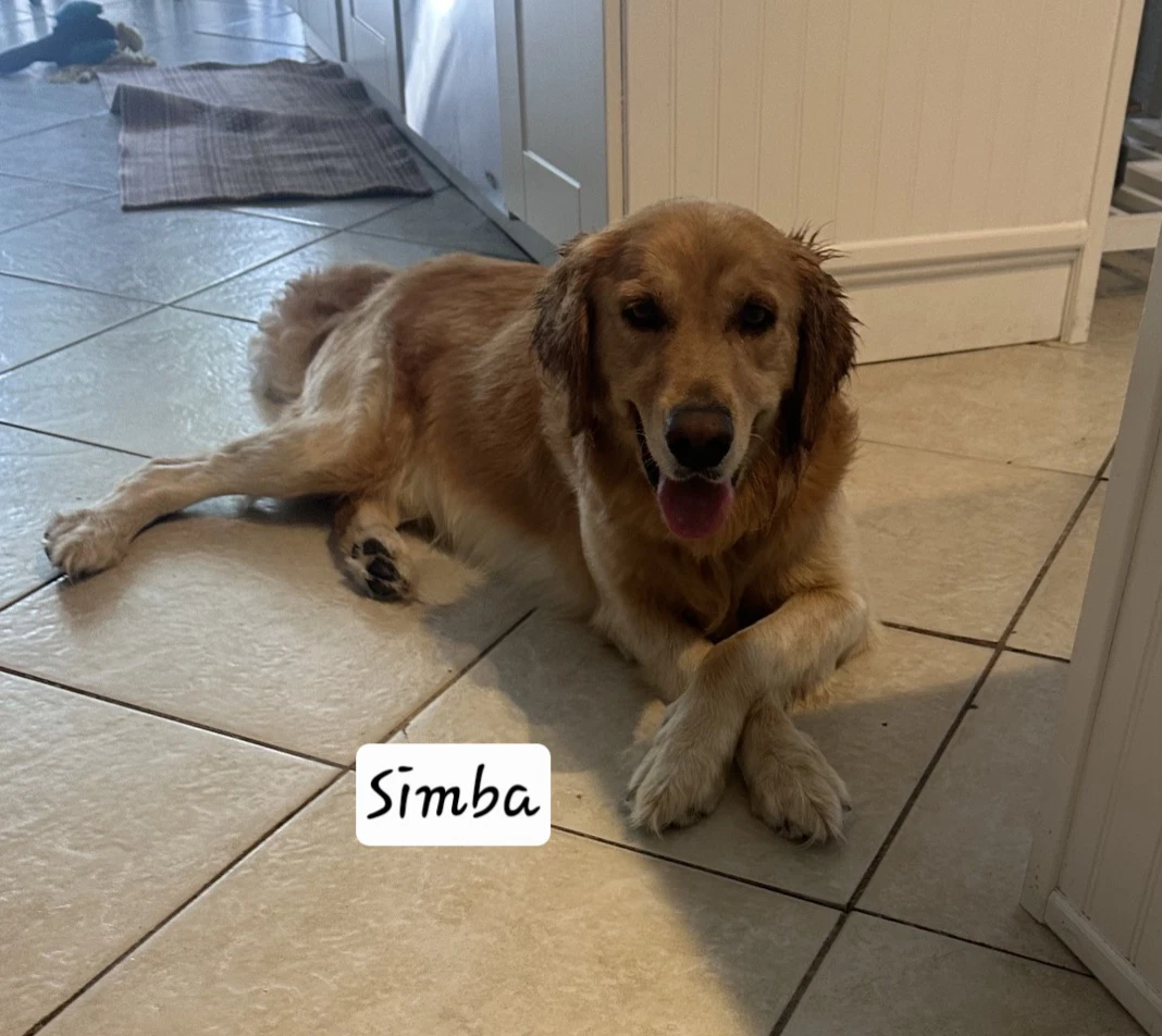 Simba