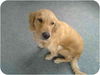 Molly