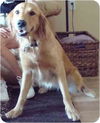 Molly