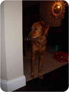 Savannah