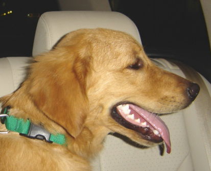 Marley