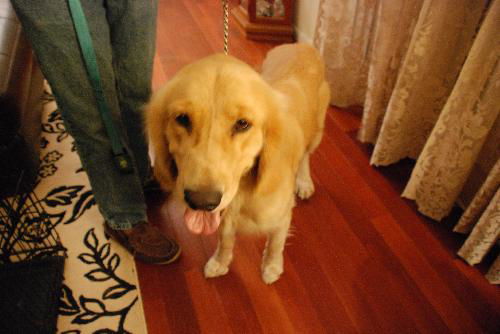 Duke