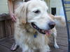Lucy 171