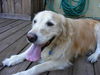Lucy 171