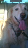 Lucy 171