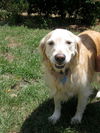 Lucy 171