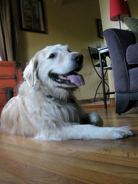 Lucy 171