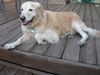 Lucy 171