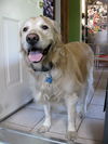 Lucy 171