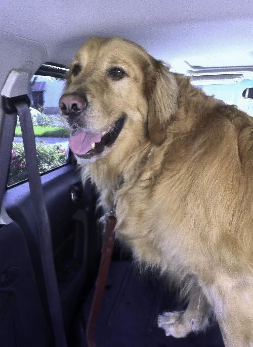 Rufus