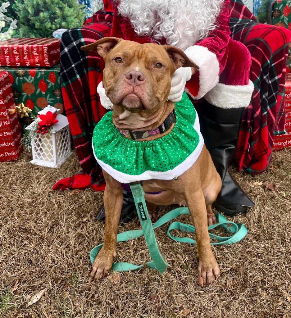 Fiona