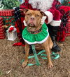 Fiona - Photo 1