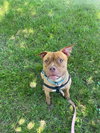 Fiona - Photo 2