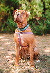Clementine - Photo 2