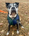 Melvin - Photo 2