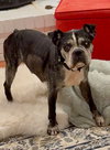Melvin - Photo 3