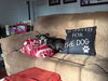 Melvin - Photo 4
