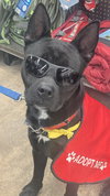 Dante - Photo 2