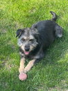 Susie - Photo 3