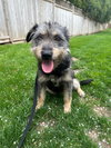 Susie - Photo 4