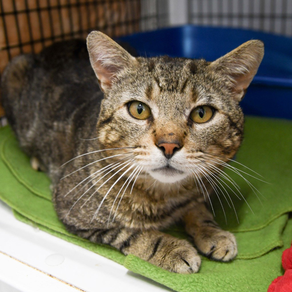 Quincy Image