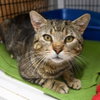 Quincy - Photo 1