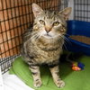 Quincy - Photo 2