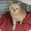 Butterball - Photo 3