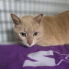 Butterball - Photo 4